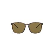 Ray-Ban Mörkbruna Plast Solglasögon Brown, Herr