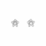 Van Cleef & Arpels Pre-owned Pre-owned Vitt guld rhngen Gray, Dam