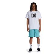 DC Shoes Wayford Shorts Blue, Herr