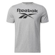 Reebok Ri Big Stacked T-shirt Gray, Herr