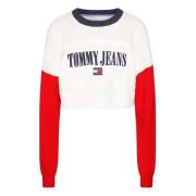 Tommy Jeans Tröja Multicolor, Dam