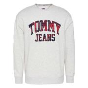 Tommy Jeans Sweatshirts Gray, Herr