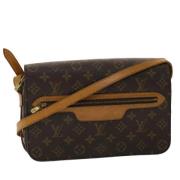 Louis Vuitton Vintage Pre-owned Canvas axelremsvskor Brown, Dam