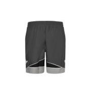 Adidas Originals Colorblock Swim Shorts Clrdo Lines Gray, Herr