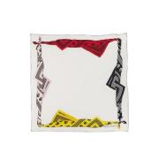 Alexander McQueen Grafiskt Tryck Silkesscarf Multicolor, Dam