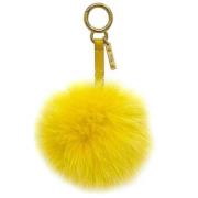 Fendi Vintage Pre-owned Paels nyckelhllare Yellow, Dam