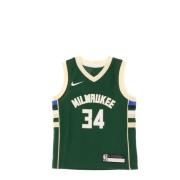 Nike Giannis Antetokounmpo Basketball Tank Top Green, Herr