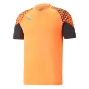 Puma Individuell CUP Tränings T-shirt Orange, Herr