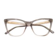 Jimmy Choo Pre-owned Pre-owned Plast solglasgon Gray, Dam