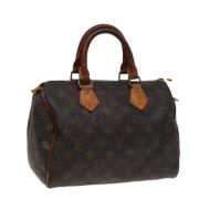 Louis Vuitton Vintage Pre-owned Canvas handvskor Brown, Dam