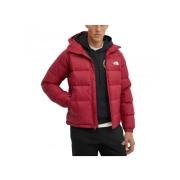 The North Face Hydrenalite Hoodie i Bordeaux Färg Red, Herr