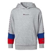 Champion Hoodie Gray, Herr