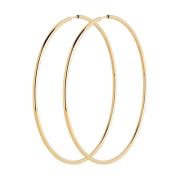 Maria Black Senorita 70 Hoops Yellow, Dam