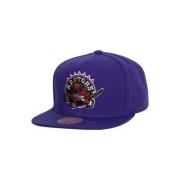 Mitchell & Ness Lila Raptors Team Ground 2.0 Fitted Hat Purple, Herr