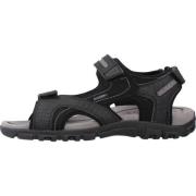 Geox Herr Platta Sandaler Black, Herr