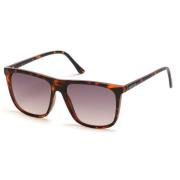 Guess Brun Resin Solglasögon Lila Kategori 3 Brown, Herr