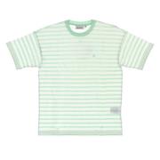 Carhartt Wip Randig kortärmad T-shirt i Mint Green, Dam