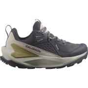 Salomon Women's Elixir GORE-TEX Nine Iron/Silver Cloud/Sponge