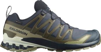 Salomon Men's XA 3D Pro V9 GORE-TEX India Ink/Olive Night/Aloe Wash