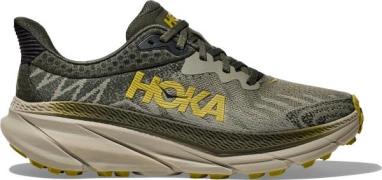 Hoka Men's Challenger ATR 7 Wide  Olive Haze/Forest Cover