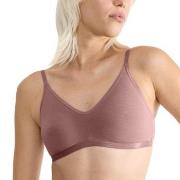 Sloggi BH GO Daily Cotton Soft Bra Mörkrosa Small Dam