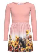 Credence Dresses & Skirts Dresses Casual Dresses Long-sleeved Casual D...