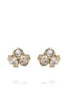 Caroline Svedbom Ana Earrings Gold Guld