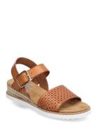 Skechers Womens Bobs Desert Kiss Sandal - Sunny Flair Brun