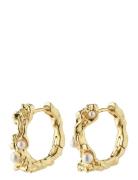 Pilgrim Raelynn Earrings Guld