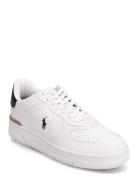 Polo Ralph Lauren Masters Court Leather Sneaker Multi/patterned