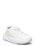 Ozelia El C Låga Sneakers White Adidas Originals