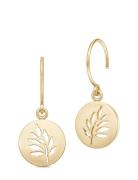 Julie Sandlau Signature Earring - Gold Guld