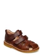 ANGULUS Sandals - Flat - Closed Toe Brun