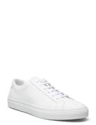 Jermain Leather Sneaker Låga Sneakers White Polo Ralph Lauren