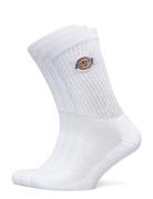 Valley Grove Lingerie Socks Regular Socks White Dickies