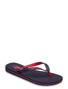 Polo Ralph Lauren Bolt Pony Flip-Flop Blå