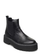 Veerly Bootie Shoes Chelsea Boots Black Steve Madden