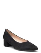 Gabor Pumps Svart