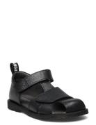 Sandals - Flat - Closed Toe - Shoes Summer Shoes Sandals Black ANGULUS