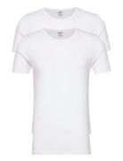 JBS Jbs 2-Pack T-Shirt O-Neck Gots Vit