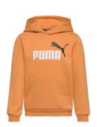 PUMA Ess+ 2 Col Big Logo Hoodie Fl B Orange