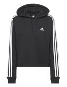 Essentials 3-Stripes French Terry Crop Hoodie Sport Sweat-shirts & Hoo...