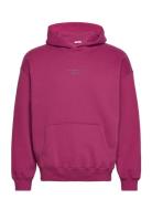 Anf Mens Sweatshirts Tops Sweat-shirts & Hoodies Hoodies Purple Abercr...