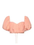 Malina Amalie Pleated Cropped Top Rosa