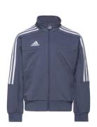J Hot Ttop Sport Sweat-shirts & Hoodies Sweat-shirts Blue Adidas Perfo...