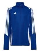Tiro24 Trtopy Sport Sweat-shirts & Hoodies Sweat-shirts Blue Adidas Pe...