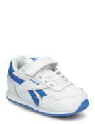 Reebok Royal Cl Jog Sport Sneakers Low-top Sneakers White Reebok Class...