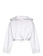 Tom Tailor Cropped Hoody Jacket Grå