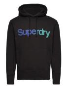 Superdry Core Logo Loose Hood Svart