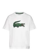 Tee-Shirt&Turtle Sport T-shirts Short-sleeved White Lacoste